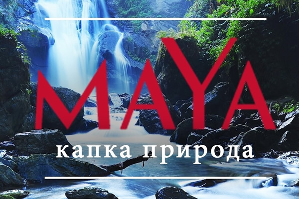 МЛ-ГАРИ дооел Скопје - Maya